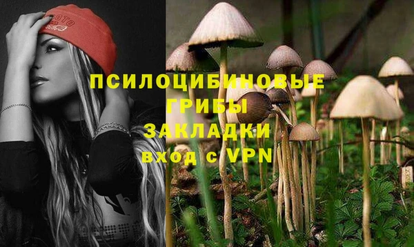 2c-b Дмитриев