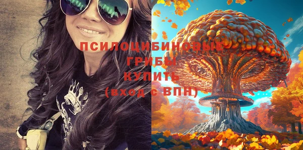 2c-b Дмитриев