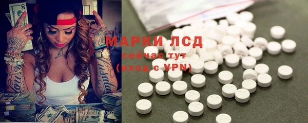 амф Ельня