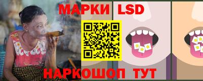 шишки Гатчина