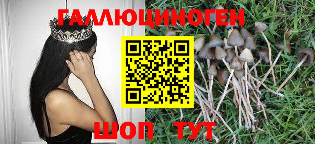 Псилоцибиновые грибы ЛСД  Вход с VPN  Псилоцибиновые грибы мухоморы  Новочеркасск 