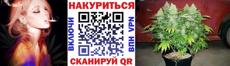 купить наркотики цена  Новочеркасск  Бошки Шишки сатива 